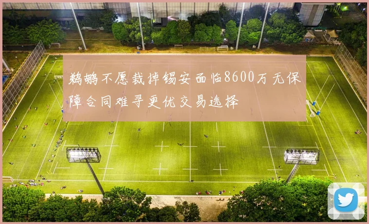 鹈鹕不愿裁掉锡安面临8600万无保障合同难寻更优交易选择