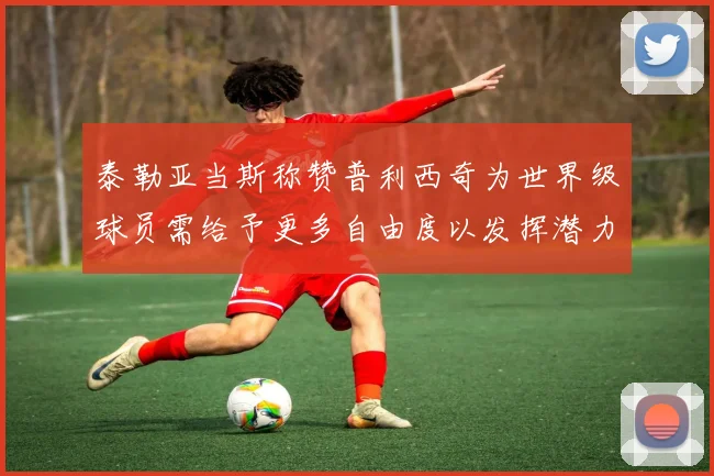 泰勒亚当斯称赞普利西奇为世界级球员需给予更多自由度以发挥潜力